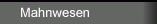 Mahnwesen